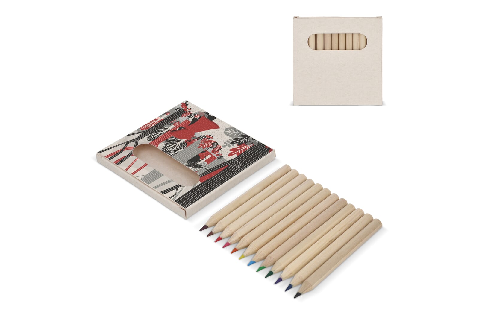 12 crayons de couleur dans une boîte en brique de lait recyclé