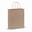 Bolsa de papel kraft 90g/m² 22x10x31cm - Marrón