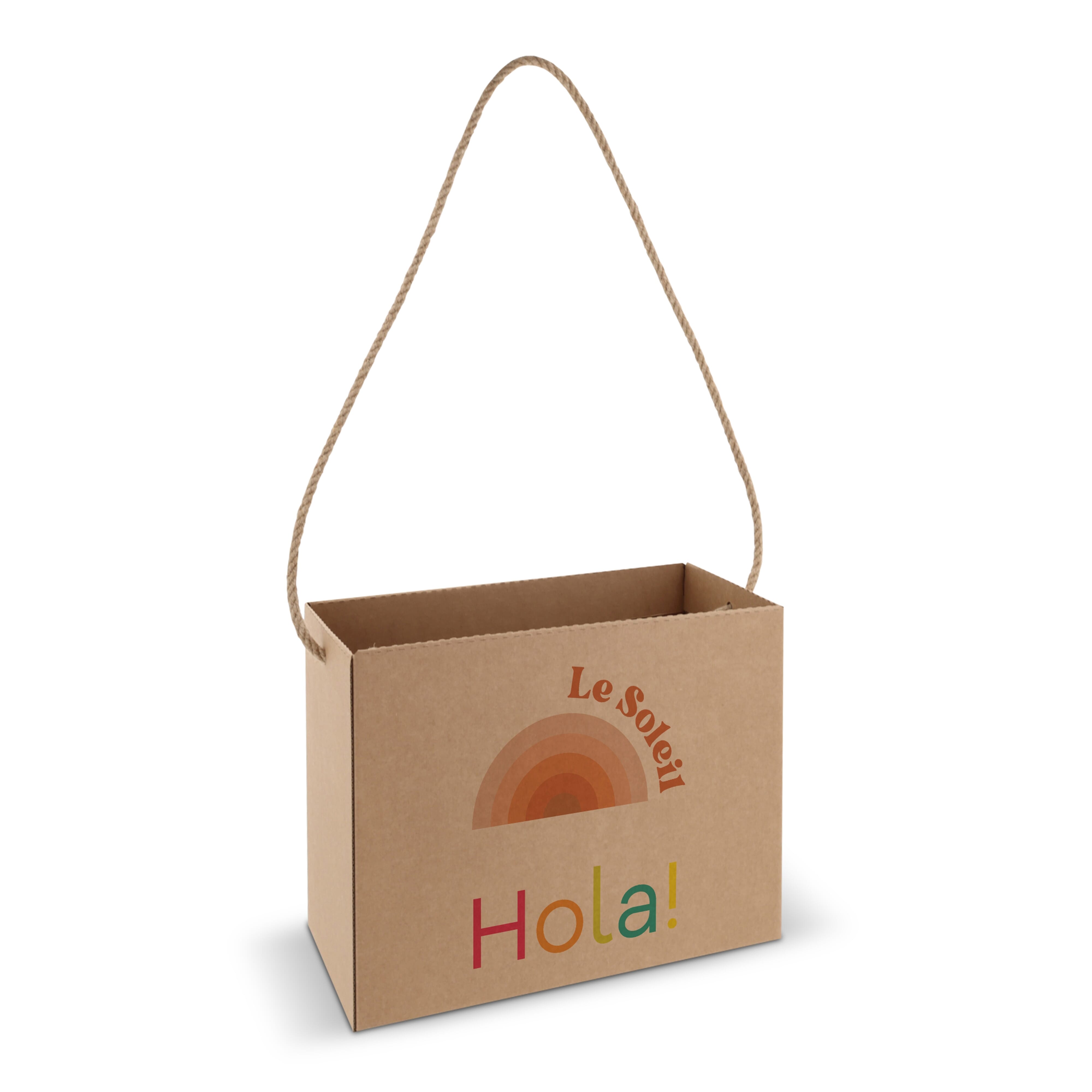 Sac en carton 32x16x24cm