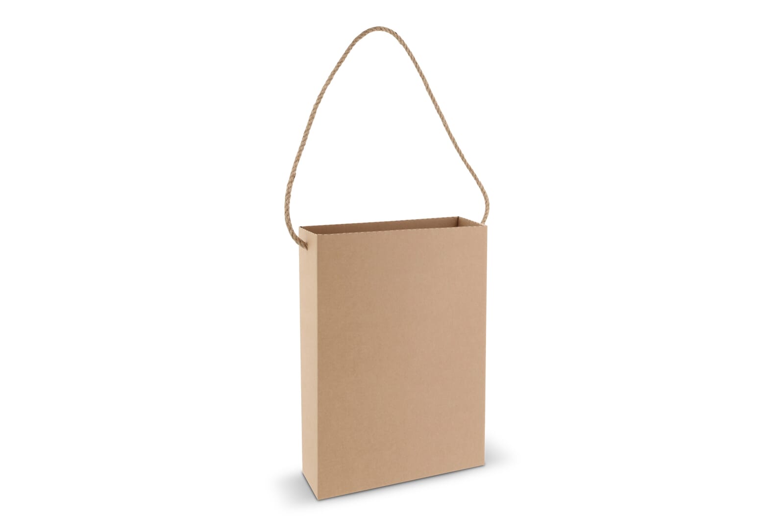 Sac en carton 24x8x32cm